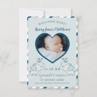 Navy Blue & Mint Elephant Baby Boy Photo Birth