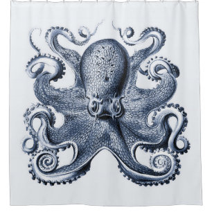 Navy Blue Octopus illustration by Ernst Haeckel