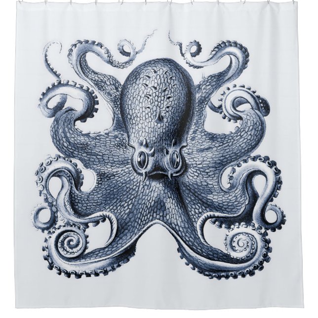Navy Blue Octopus illustration by Ernst Haeckel (Front)