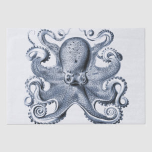 Navy Blue Octopus illustration by Ernst Haeckel Tissue Paper