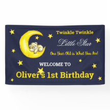 Navy Gold Twinkle Little Star 1st Birthday