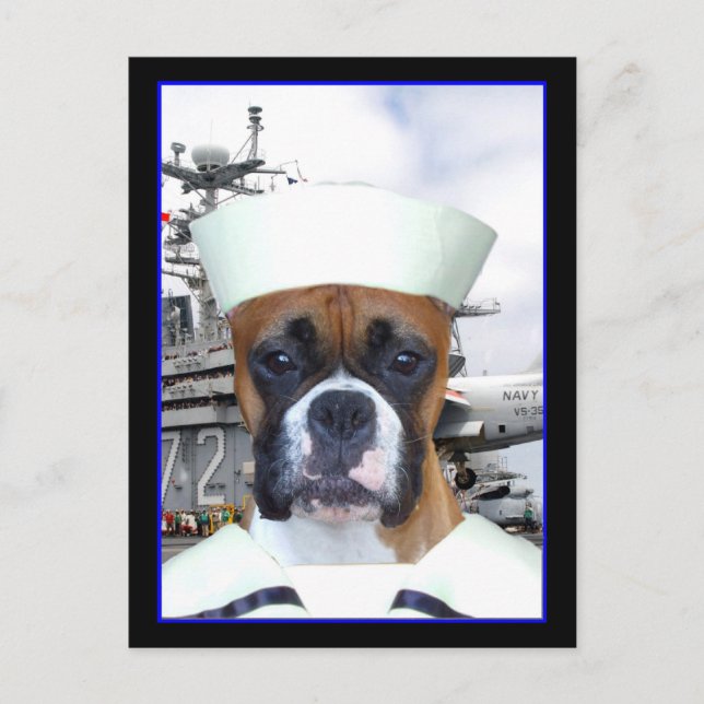 Navy Sailor Boxer Dog  Postcard (Front)