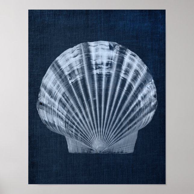 Navy Seashell Beach Decor Print no. 2 (Front)