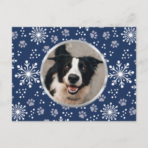Navy Snowflake Paw Pattern Pet Photo Postcard