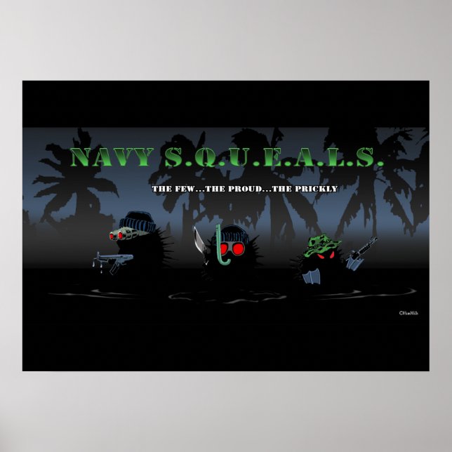 Navy SQUEALs. Poster (Front)