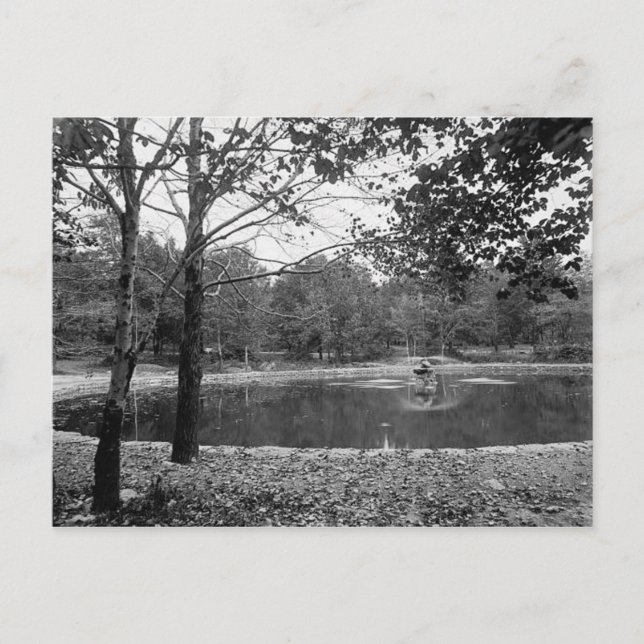 Nay Aug Park Scranton Pa. Carte postale (Devant)