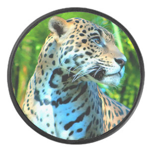 Nayla le Jaguar