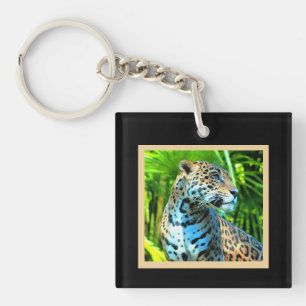 Nayla le Jaguar