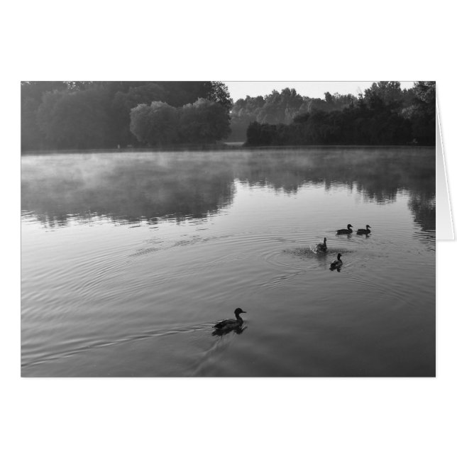 NC / Noir, carte (Devant horizontal)