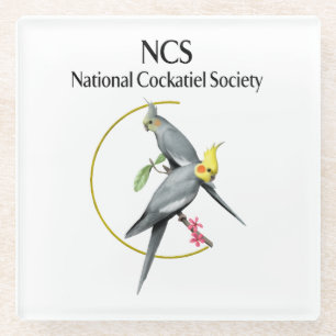 NCS Glass Coaster