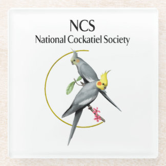 NCS Glass Coaster