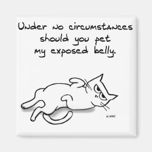 Ne choyez jamais le ventre de chat - aimant drôle