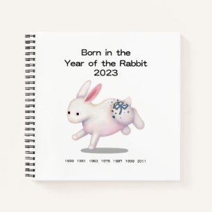 Né dans l'année du Journal de bébé lapin