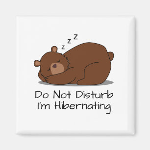 Ne Dérangez Pas Disturbe Drôle Aimant Ours Dormir