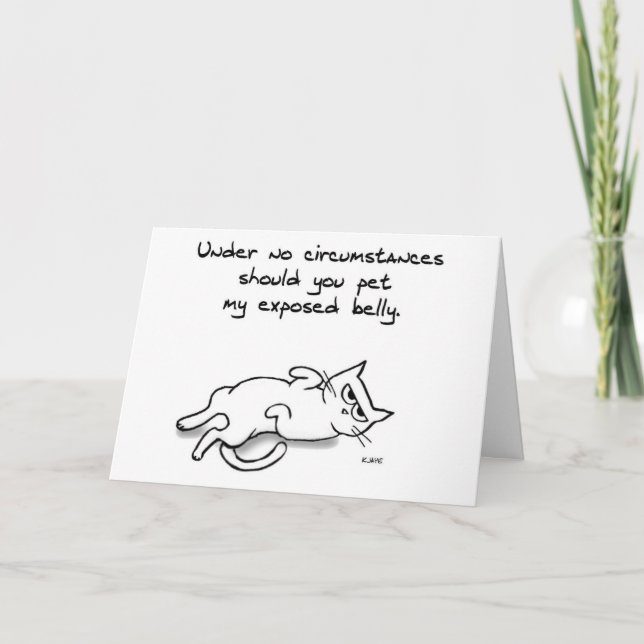 Ne jamais mettre le ventre de chat - Drôle carte d (Devant)