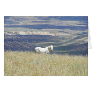 Né Libre Cheval Mustang Wild
