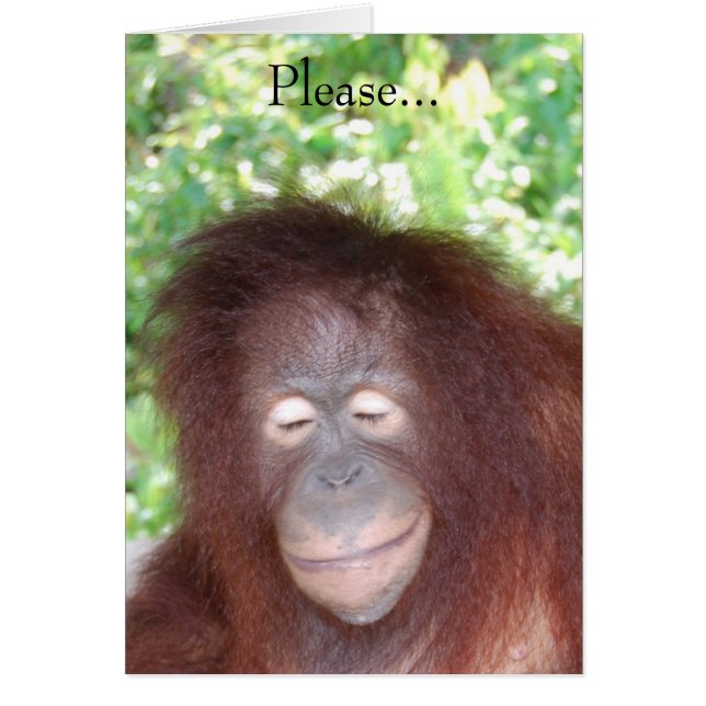 Ne me hais pas parce que je suis belle (Devant)