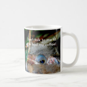 Ne me parlez pas jusqu'à ce que j'aie eu ma tasse