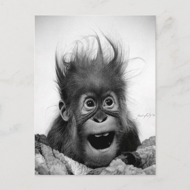 NE PANIQUE PAS ! Carte postale (Devant)