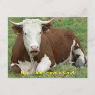 Ne pas avoir de carte postale de vache
