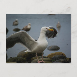 Ne pas déranger la carte postale