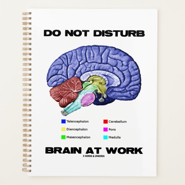 Ne Pas Déranger Le Cerveau Au Travail Conseils Ana (Devant)