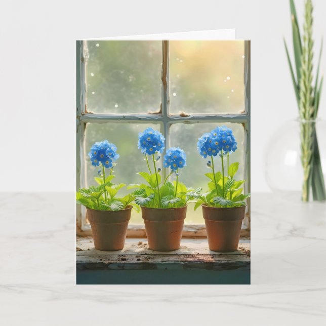 Ne pas oublier les pots de fleurs dans une fenêtre (Devant)