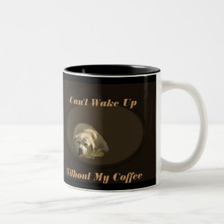 Ne peut pas réveiller la tasse