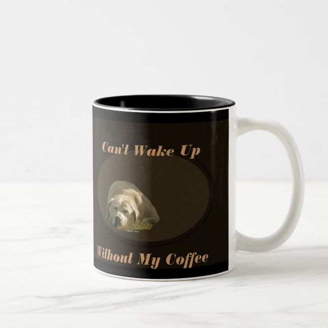 Ne peut pas réveiller la tasse (Droit)