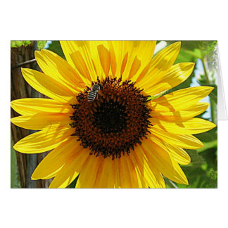 Ne respire pas trop profondément