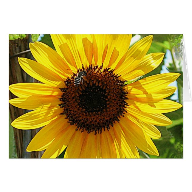 Ne respire pas trop profondément (Devant horizontal)