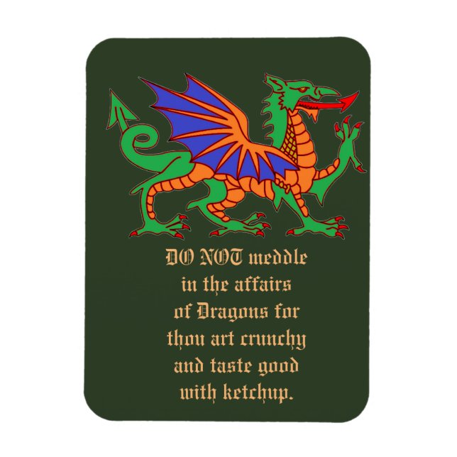 Ne vous mêlez pas des affaires de Dragons Magnet (Vertical)