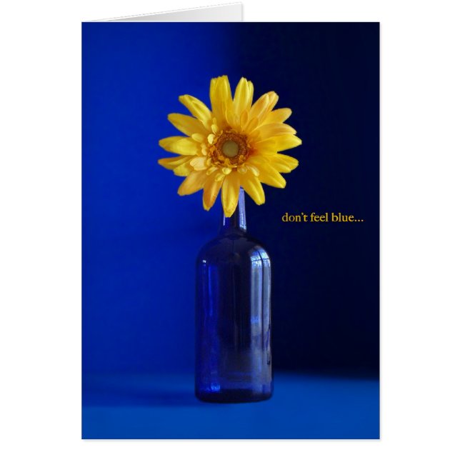 Ne vous sentez pas bleu… (Devant)