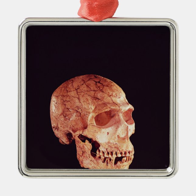 Neanderthal Skull, discovered on Mt Carmel Metal Ornament (Front)