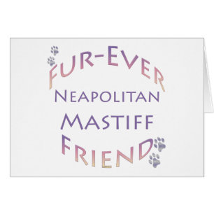 Neapolitain Mastiff Furever