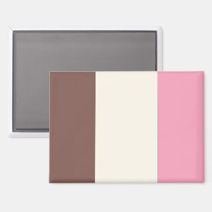 Neapolitan Ice Cream Vertical Stripe Pattern Magnet