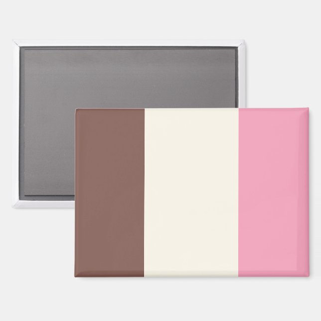 Neapolitan Ice Cream Vertical Stripe Pattern Magnet (Front/Back)