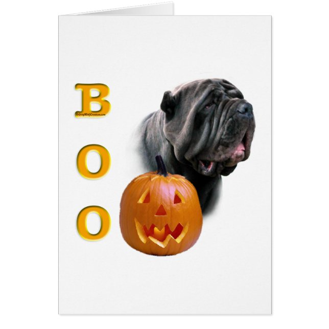 Neapolitan Mastiff Boo (Front)