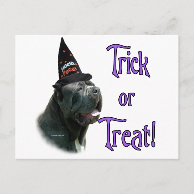 Neapolitan Mastiff Trick Postcard (Front)