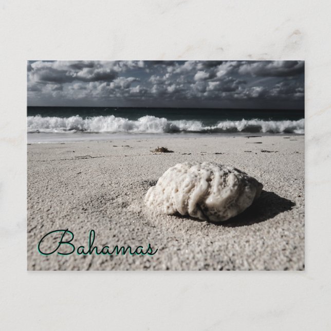 Near Black&White Custom Destination Postcard (Front)