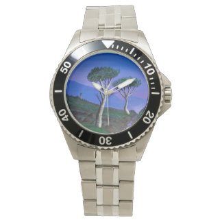 Near the DMZ South Korea Watch