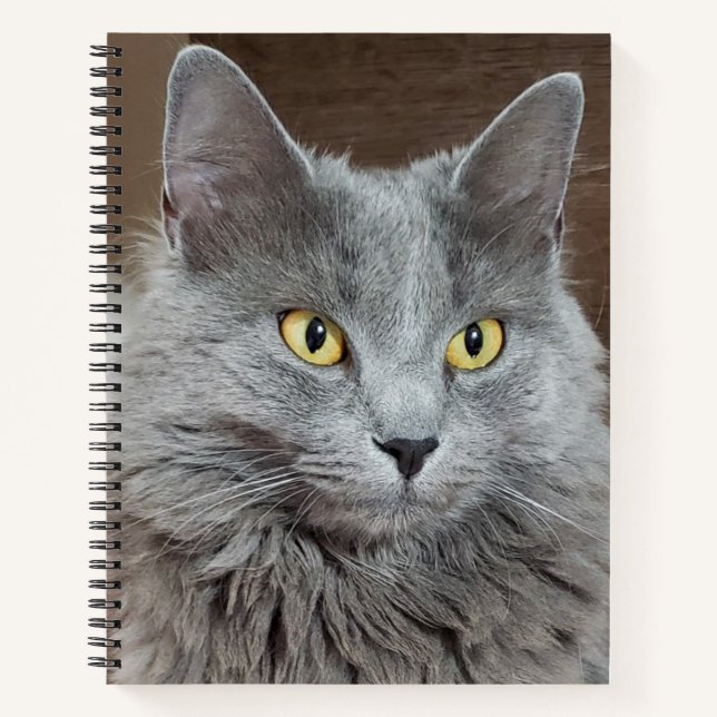 Nebelung Long-Haired Carnet de chat bleu russe (Devant)