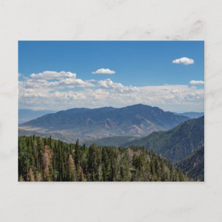 Nebo Loop in July Postcard