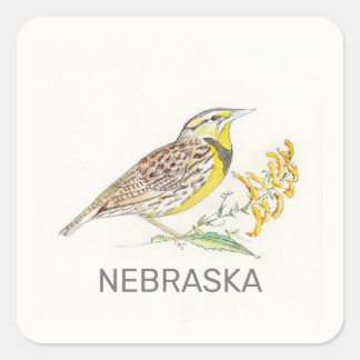 Nebraska bird and flower square sticker