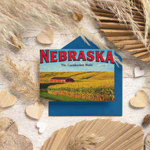 Nebraska Cornfield Postcard