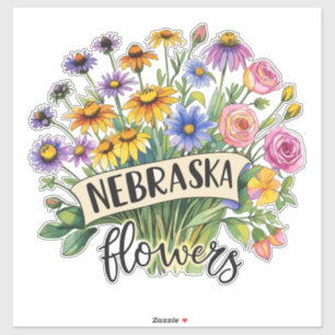 Nebraska Flowers - Nebraska Wild Flowers Bloom
