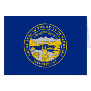 Nebraska State Flag