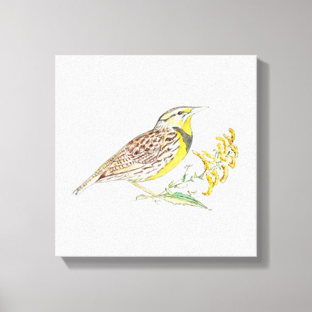 Nebraska Stretched Canvas Print (Front)