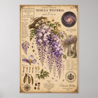 Nebula Wisteria Victorian Botanical Museum Print