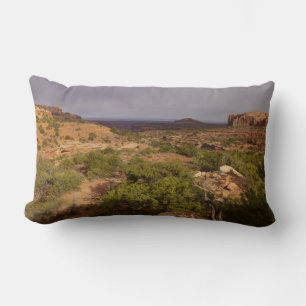 Neck Springs Trail at Canyonlands National Park Lumbar Pillow